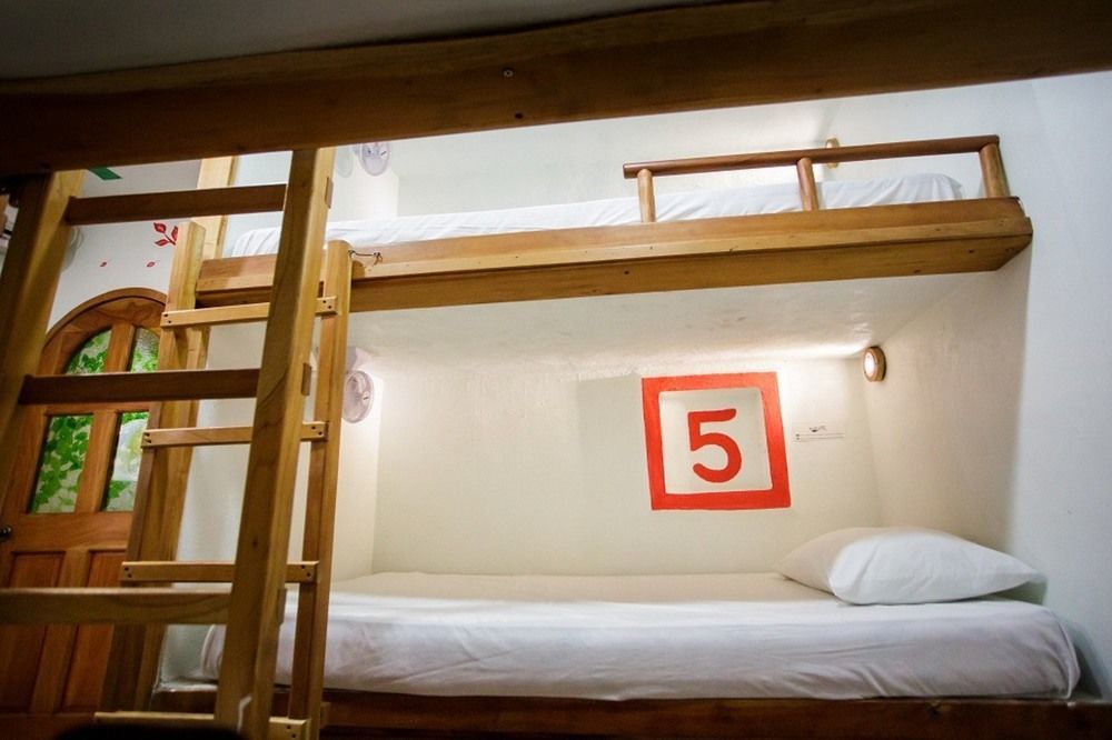 קנקון Hostel Natura מראה חיצוני תמונה