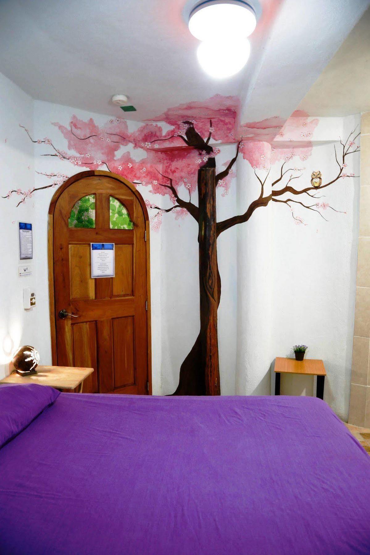 קנקון Hostel Natura מראה חיצוני תמונה