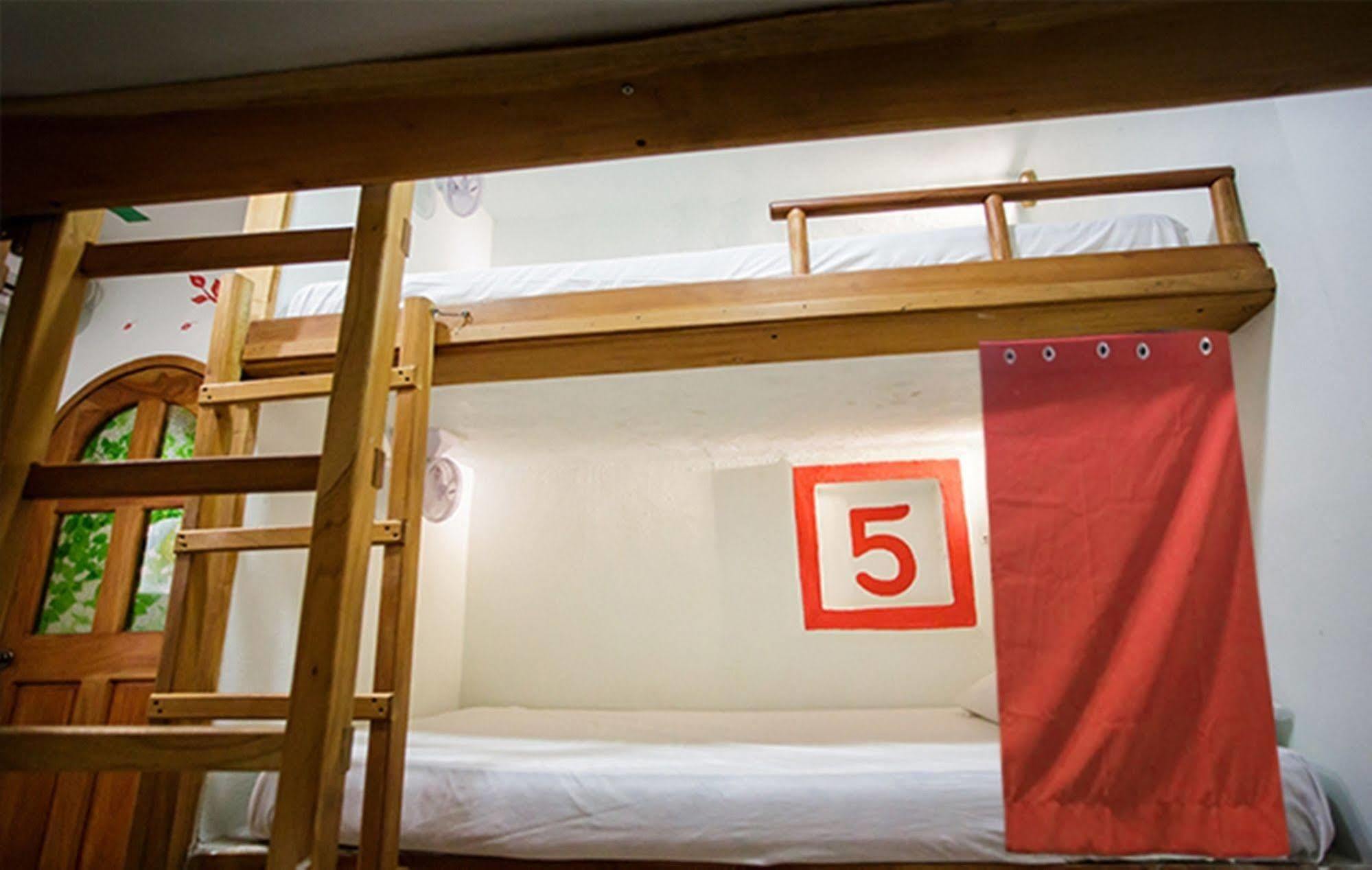 קנקון Hostel Natura מראה חיצוני תמונה