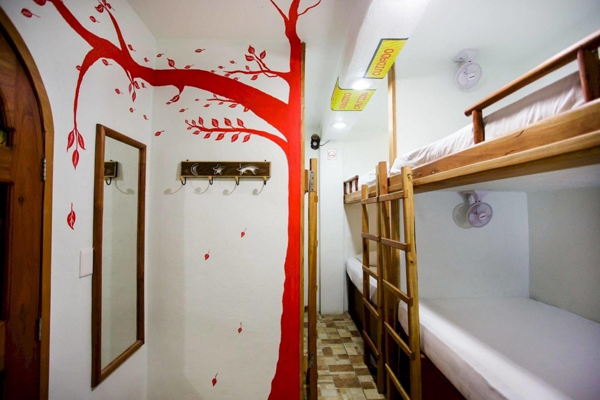 קנקון Hostel Natura מראה חיצוני תמונה